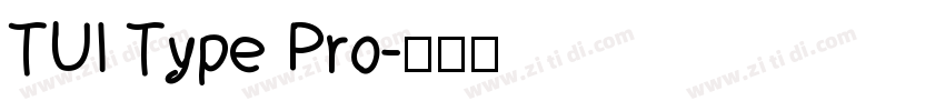 TUI Type Pro字体转换